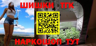 индика Кудымкар