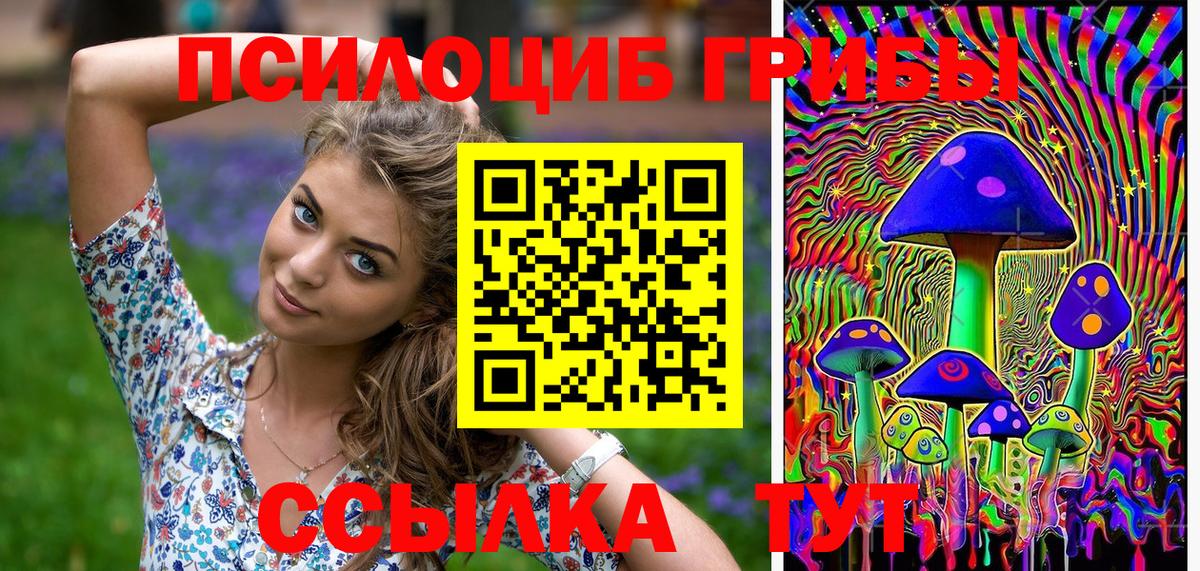 Псилоцибиновые грибы прущие грибы Зима