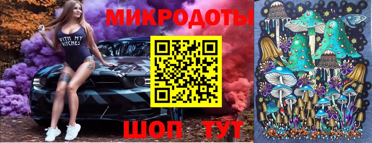 Зима  Псилоцибиновые грибы Psilocybe  Вход с VPN 